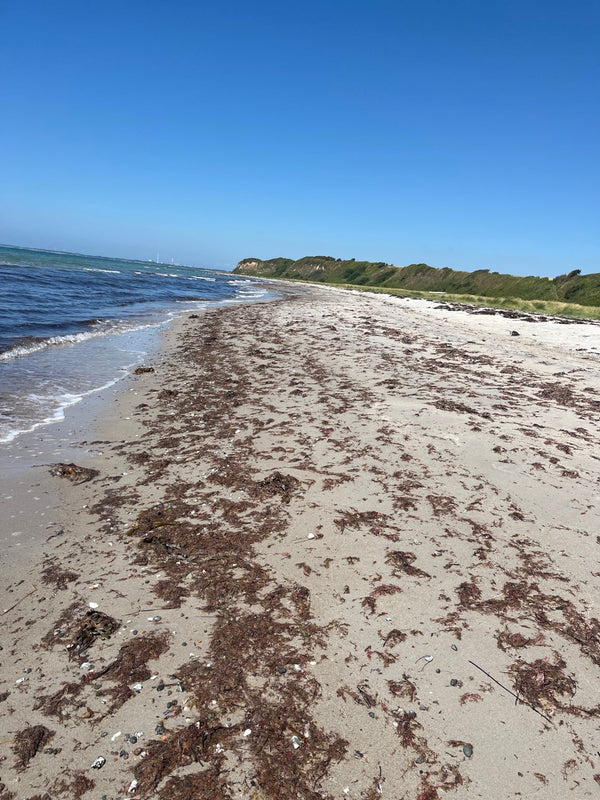 ellio.help am Strand – Sicherheit für lange Spaziergänge am Meer