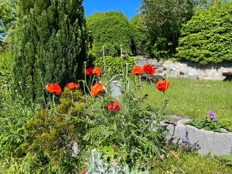 Hausruf im Garten – Sicherheit auch außerhalb der Wohnung
