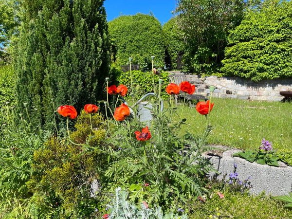 Hausruf im Garten – Sicherheit auch außerhalb der Wohnung