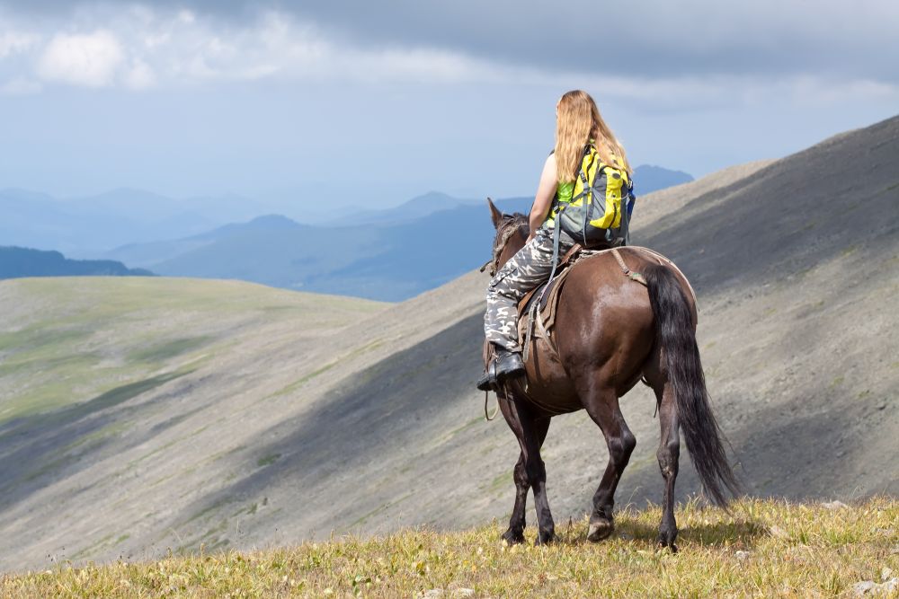 Was passiert, wenn man beim Reiten auf dem Land stürzt?