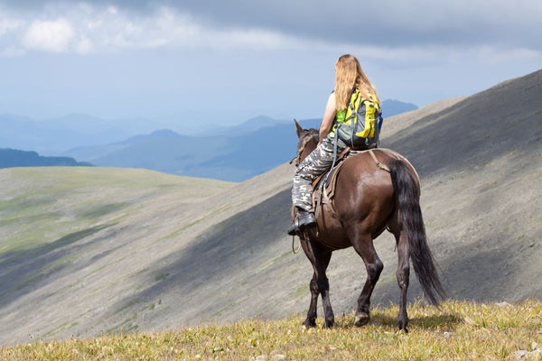 Was passiert, wenn man beim Reiten auf dem Land stürzt?