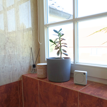 ellio Inaktivitätsmelder Bad