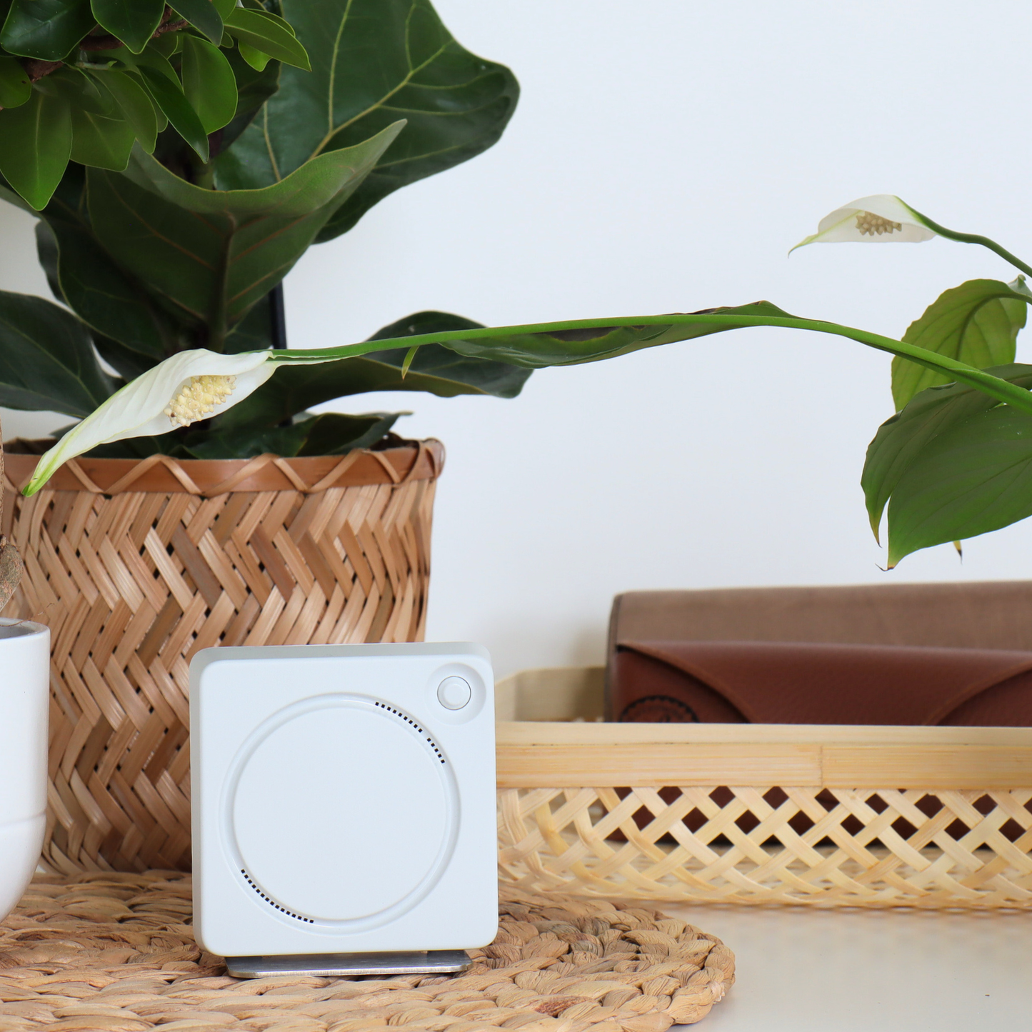 ellio Inaktivitätsmelder Flur