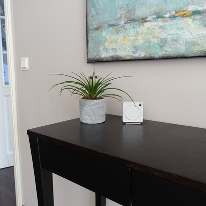 ellio Inaktivitätsmelder Tisch